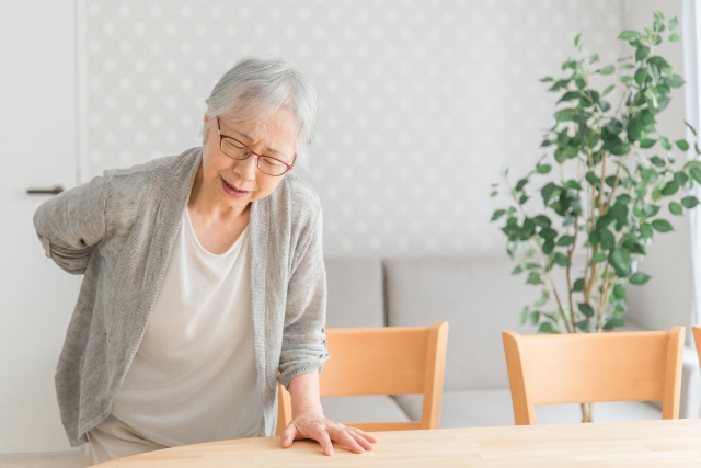 秋田市 腰痛 整体｜ひまわり鍼灸整骨院