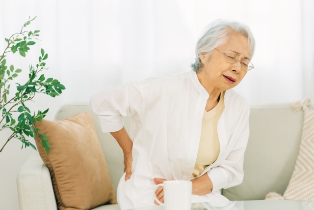 秋田市 腰痛 整体｜ひまわり鍼灸整骨院