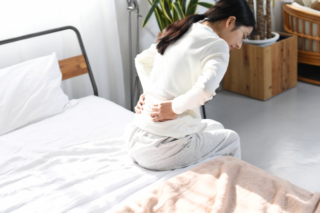 秋田市 腰痛 整体｜ひまわり鍼灸整骨院